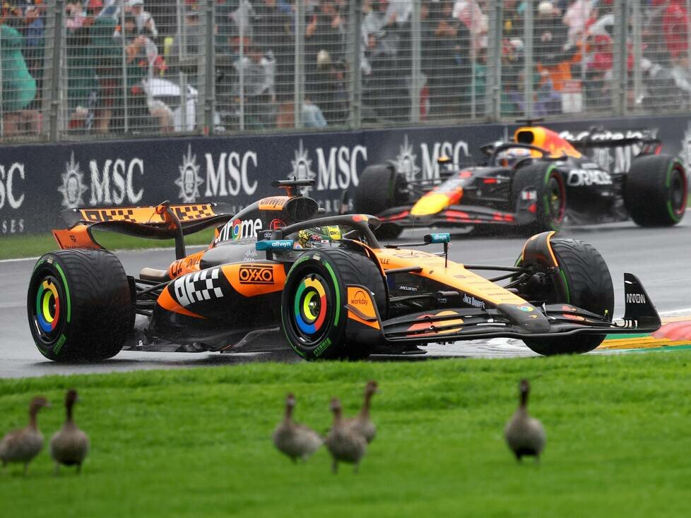 Oscar Piastri, Max Verstappen