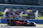 Felipe Nasr, Nick Tandy und Laurens Vanthoor 