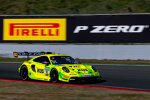 Thomas Preining (Manthey-Porsche)