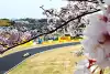Bild zum Inhalt: Nach Platztausch: Lawson im Suzuka-Qualifying schneller als Tsunoda