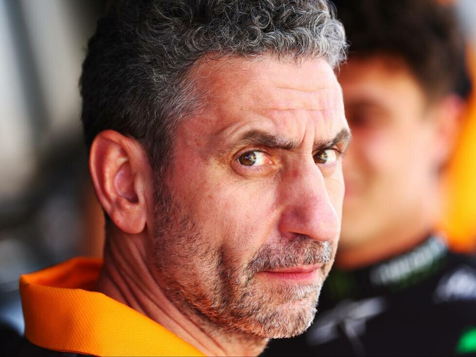 Andrea Stella