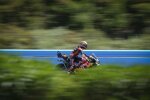 Pedro Acosta (KTM)