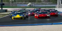 Power-Festival: Die Piloten in ihren rund 700 PS starken Ferrari 296 Challenge treten in vier verschiedenen Klassen gegeneinander an
