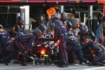 Max Verstappen (Red Bull) 