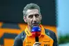 Bild zum Inhalt: Andrea Stella erklärt: Warum McLaren wegen Verstappen nervös war
