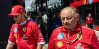 Bild zum Inhalt: Vasseur-Aus nicht mit Lewis Hamilton: "Möchte, dass Fred hier bleibt!"