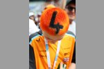 Fan von Lando Norris (McLaren) 