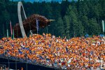 Fans von Max Verstappen (Red Bull)