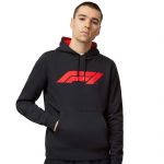 Formel 1 Kapuzenpullover Logo schwarz