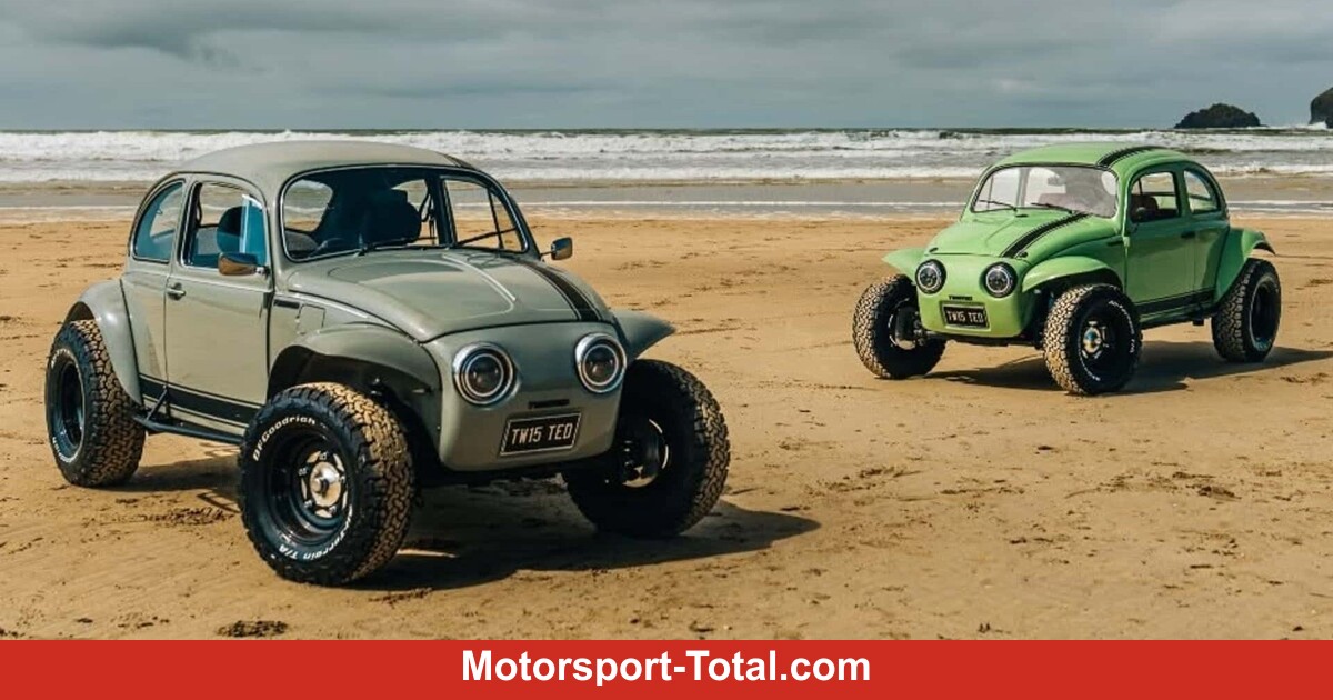 Strand-K-fer-Der-Baja-Bug-ist-zur-ck
