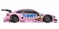 Auer und Vietoris als "Pink Panther"