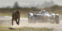 Das Duell: Gepard vs. Formel E