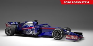Fotostrecke: Präsentation Toro Rosso STR14 : Die besten Fotos