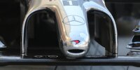 Bild zum Inhalt: Die hässlichen Nasen der Formel-1-Autos 2014
