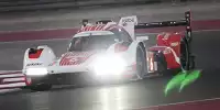 Bild zum Inhalt: Alle Meister der WEC 2024