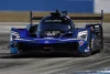 Bild zum Inhalt: IMSA 2023: 12 Stunden von Sebring