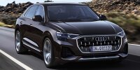 Bild zum Inhalt: Audi Q7 und Q8 TFSI e quattro (2024)