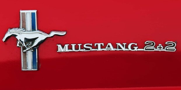 Autos mit Pferdenamen: Von Haflinger zu Mustang