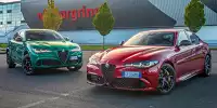 Bild zum Inhalt: Alfa Romeo Giulia Quadrifoglio (2023) im Test/ Alfa Romeo Stelvio Quadrifoglio 100° Anniversario