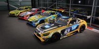 24h Nürburgring: Die Designs von Mercedes-AMG