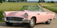 Porträt: Ford Thunderbird