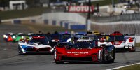 IMSA 2024: Petit Le Mans
