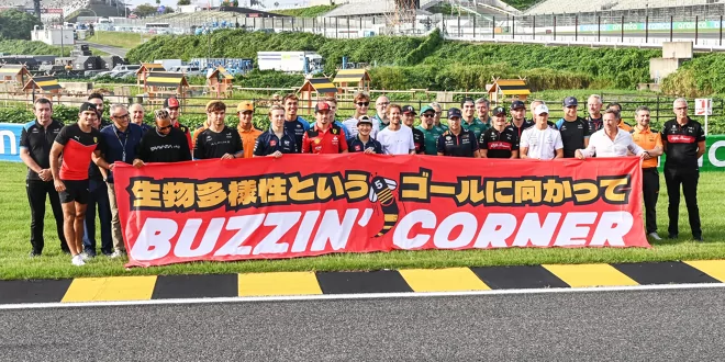 Für mehr Biodiversität an der Strecke in Suzuka - Vettels neue Insekten-Hotels