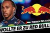 Brisante Story: Wollte Hamilton wirklich zu Red Bull?