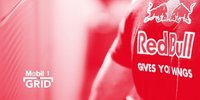 Das Toro-Rosso-Konzept