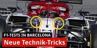 Flügel, Hörner, Finnen: Technik-Tricks der Teams