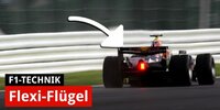 Formel-1-Technik: Flexi-Wings