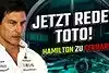 Bild zum Inhalt: Holen Sie jetzt Verstappen statt Hamilton, Toto?