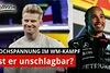 Bild zum Inhalt: Mercedes: Hamilton zu gut für unsere Simulationen!