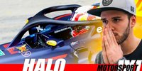 Motorsport 1x1: Daniel Abt über Halo