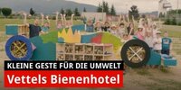 Sebastian Vettel: So sieht "sein" Bienenhotel aus!