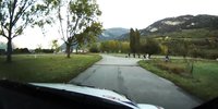 Skoda: Onboard bei der Rallye du Valais