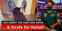 Strafe für Vettel: Handicap vor dem US-Grand-Prix!