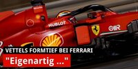 Vettels Form: R. Schumacher findet's "eigenartig"