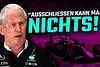 Bild zum Inhalt: Wechseln Sie mit Max zu Mercedes, Helmut Marko?