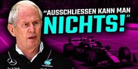 Wechseln Sie mit Max zu Mercedes, Helmut Marko?