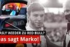 Bild zum Inhalt: Zweite Chance für Pierre Gasly bei Red Bull?