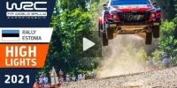 Rallye Estland: Highlights Samstagnachmittag