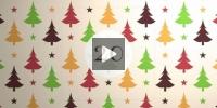 Adventskalender #20: Deshalb war 2018 einmalig!