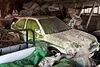 Bild zum Inhalt: Diese verlassenen Ford Escort Cosworth verrotten in einer Scheune