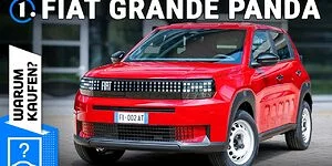 Fiat Grande Panda (2025) im Video: Warum kaufen und warum nicht?! Bild zum Inhalt: Fiat Grande Panda (2025) im Video: Warum kaufen und warum nicht?!