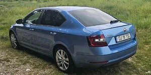 Bild zum Inhalt: Skoda Octavia (2017): Acht Jahre im Praxistest