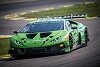 Lamborghini verrät Details zu GT3- und LMDh-Plänen