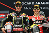Scott Redding über WSBK 2019: Jonathan Rea war cleverer als Alvaro Bautista