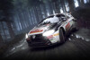DiRT Rally 2.0: Version 1.12 am Start und Solberg Livery Challenges
