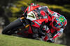 Corona und seine Folgen: Opfert Ducati das Werksteam in der Superbike-WM?